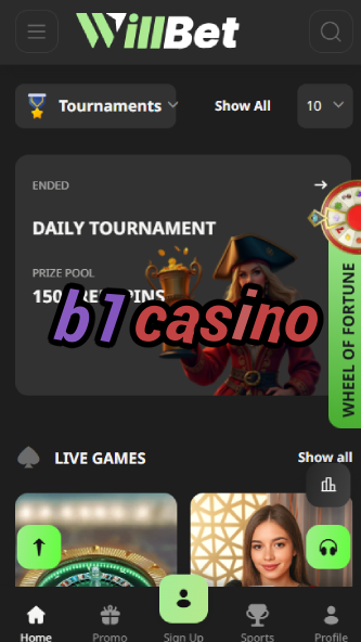 B1 Casino - Big Wins & Daily Promotions-casinobuddy.ydblkf.net
