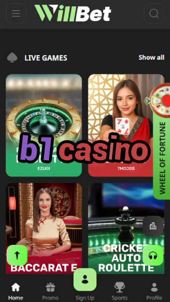 B1 Casino - Big Wins & Daily Promotions-casinobuddy.ydblkf.net