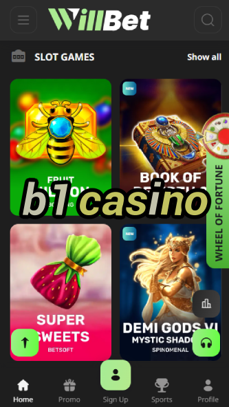 B1 Casino - Big Wins & Daily Promotions-casinobuddy.ydblkf.net